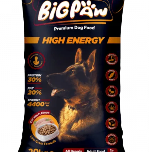 big paw high energy