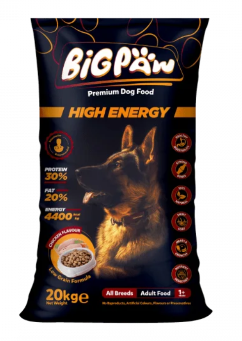 Screenshot 2025-04-10 214532 big paw high energy