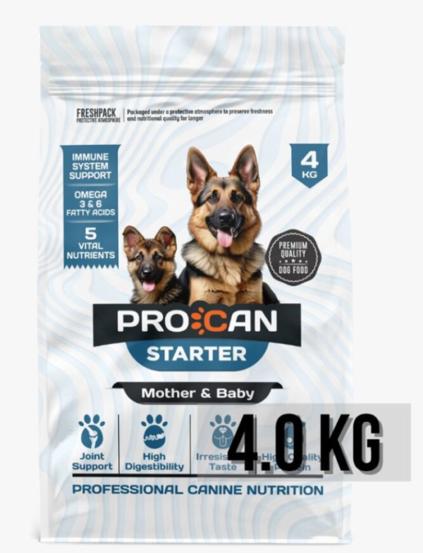 Screenshot 2025-04-10 220639 procan starter